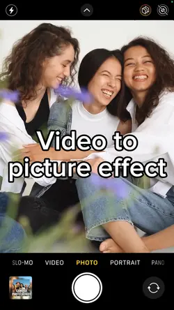 Vid to pic effect