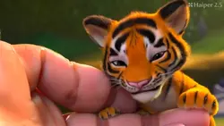 animais fofinhos 