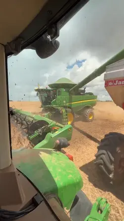 o agro 