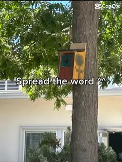 Spread the word!