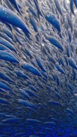 Amazing visuals 360