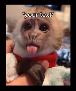 Monkey face 