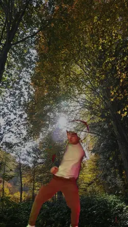 Dança na floresta 