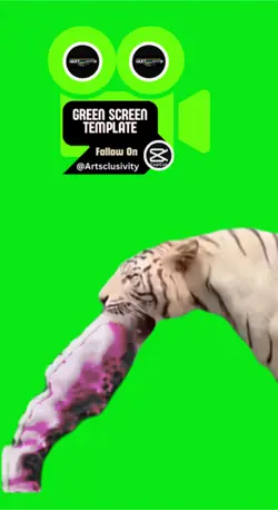 TigerBarf🥴