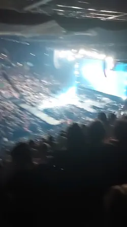 OneDirection concert