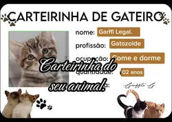 Formulário 