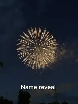 Name reveal 