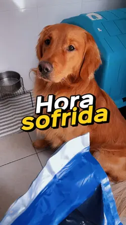 Meme para todos