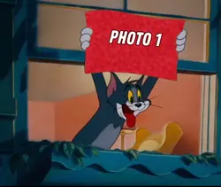 Tom And Jerry Funny
