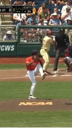 Baseball Great Catch