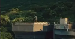 Yaaaaaaaa