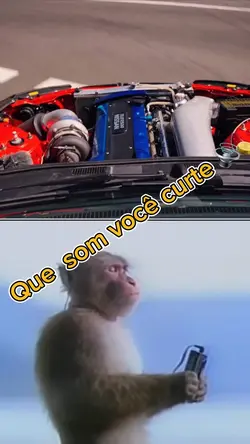 Seu vídeo aqui 