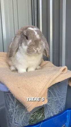 How am I so cute? 