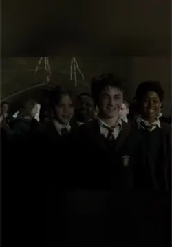 Harry Potte