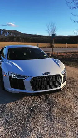 Audi Insano