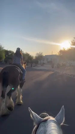 Morning Rides>>>