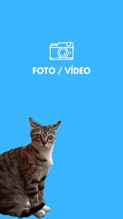 Meme Gato assustado