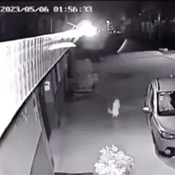 Dancing cat