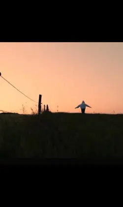 Slow video