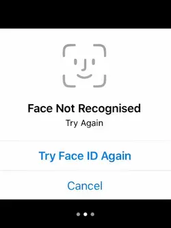Face id Trend Tiktok