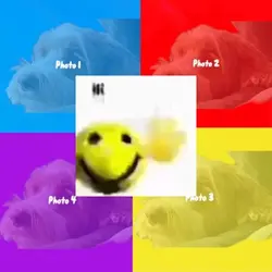 hi