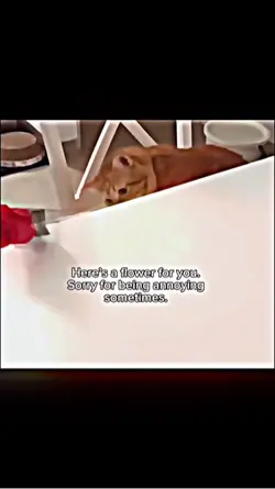 hehe