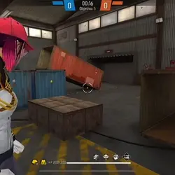 Highlights Freeff