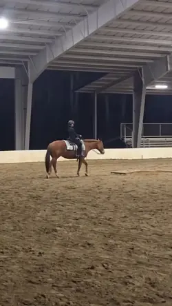 Western pleasure!!!