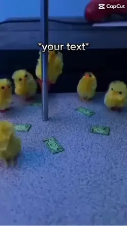 Chicken pole dancing