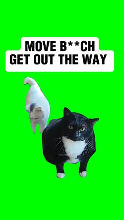 GET OUT THE WAY 