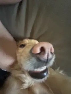 shes such a goob