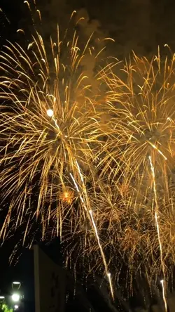 Happy New Year