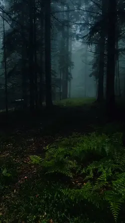 floresta