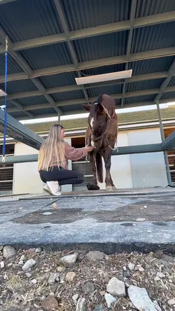 handshakeee