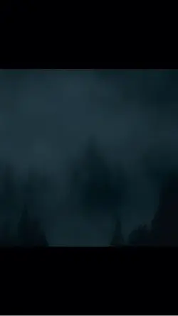 Spooky Forest Edit
