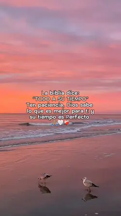 Todo a su tiempo 