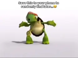 Turtle Dance
