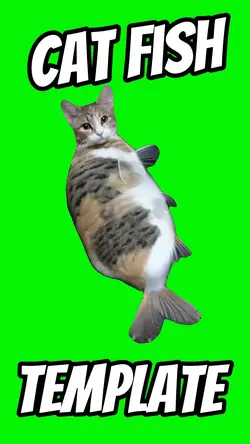 Cat Fish