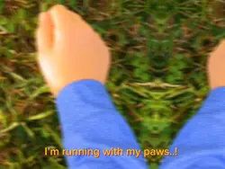 Running with my paws
