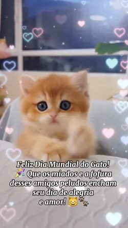 Dia Mundial do Gato