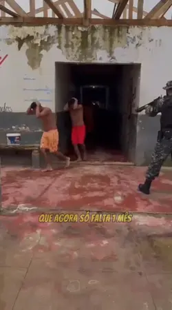 solta o preso 