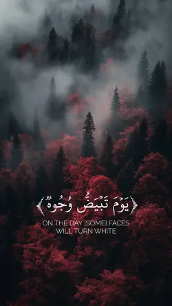 Quran | قرآن 