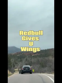 Redbull gives u wing