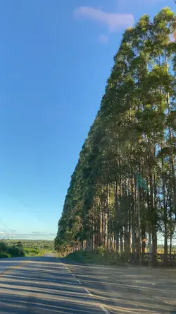MINI VLOG VIAGEM