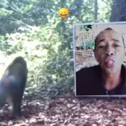 Olha o susto 