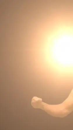 Hulk Hogan 