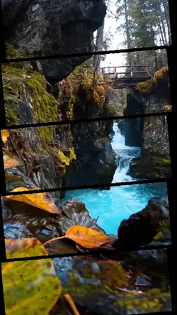 4 videos 