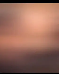 Lizzo
