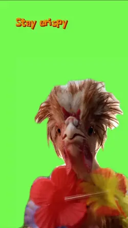 Chicken dance 