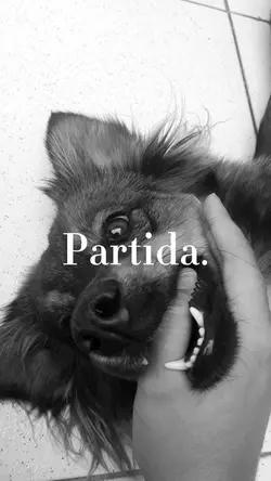 Perda